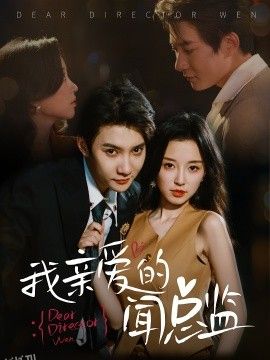 我亲爱的闻总监 海报