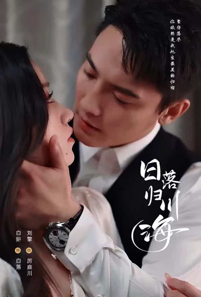 日落归川海 高清海报