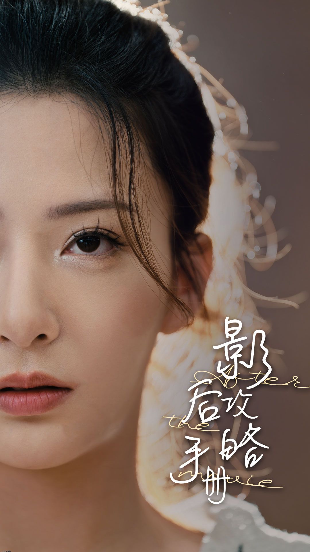 影后攻略手册 海报