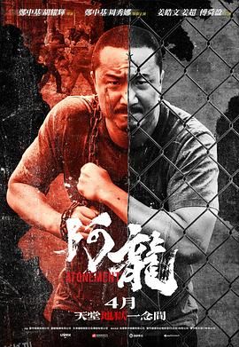 再见阿龙国语 高清海报