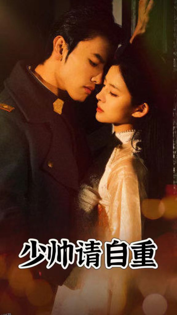 少帅请自重 海报
