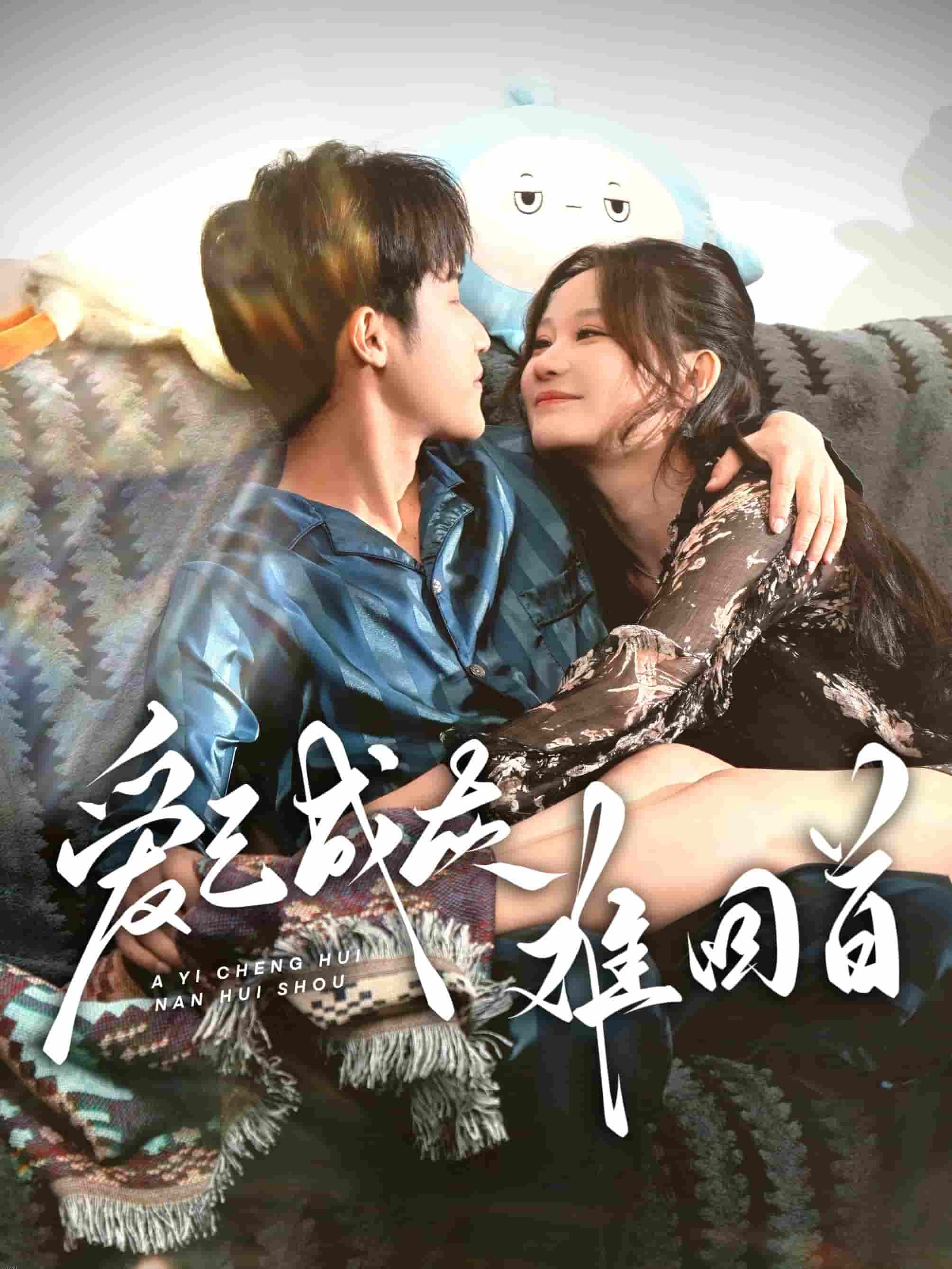 爱已成灰难回首 高清海报