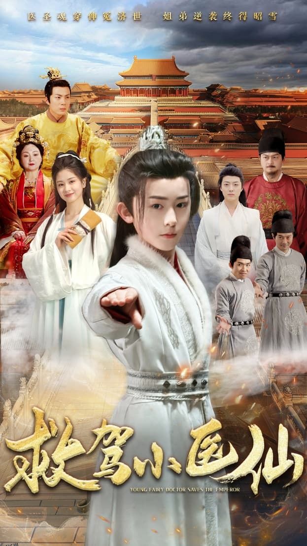 救驾小医仙 海报