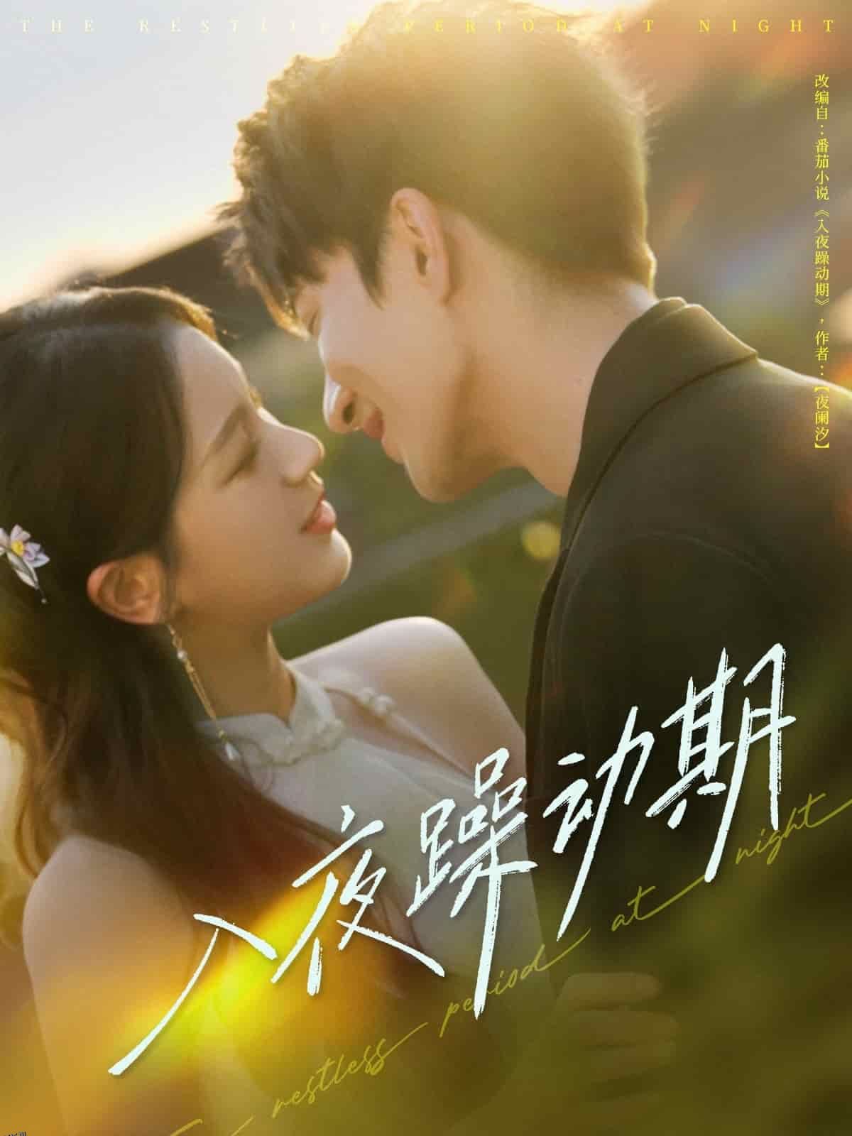 入夜躁动期 海报