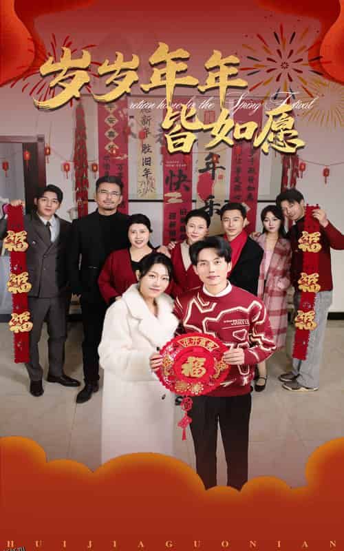 岁岁年年皆如愿 海报