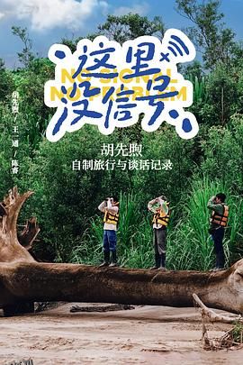 这里没信号 高清海报