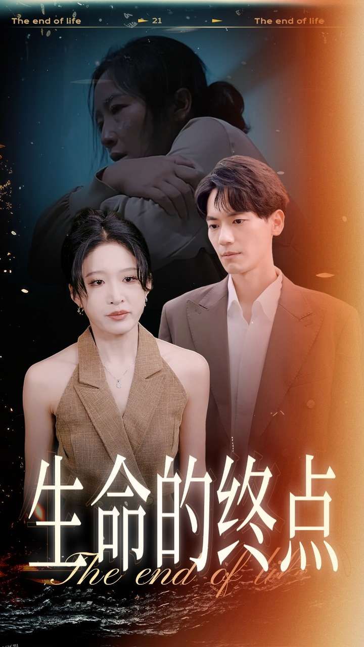 生命的终点 海报