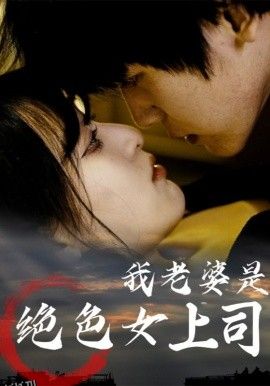 我老婆是绝色女上司 海报