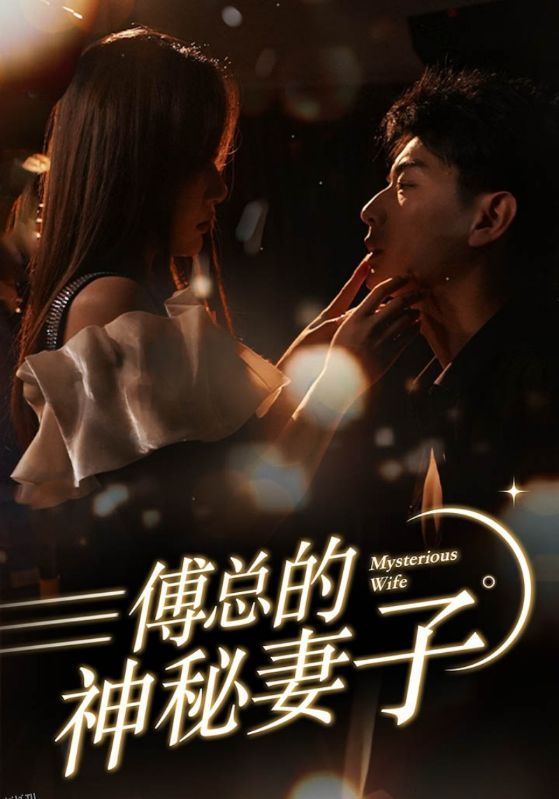 傅总的神秘妻子 海报