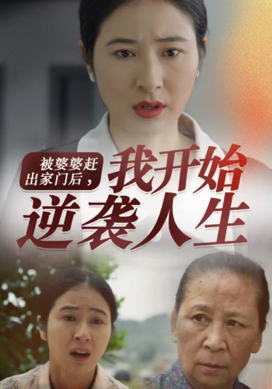 被婆婆赶出家门后我开始逆袭人生 海报