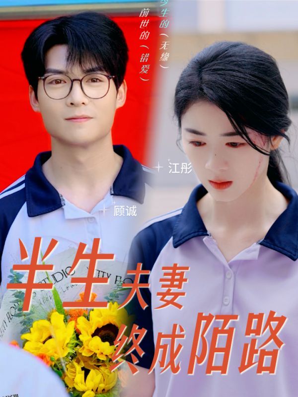 半生夫妻终成陌路 海报