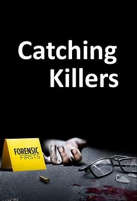 追捕连环杀手第二季 海报