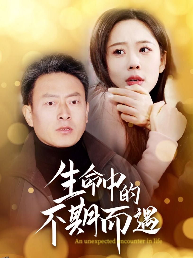 生命中的不期而遇 海报