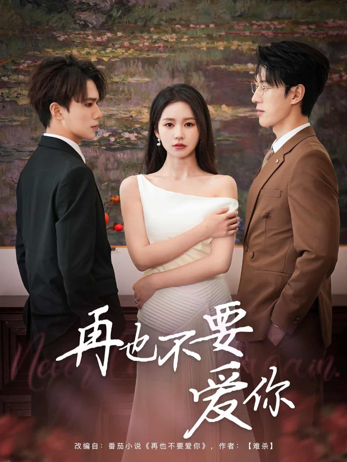 再也不要爱你 海报