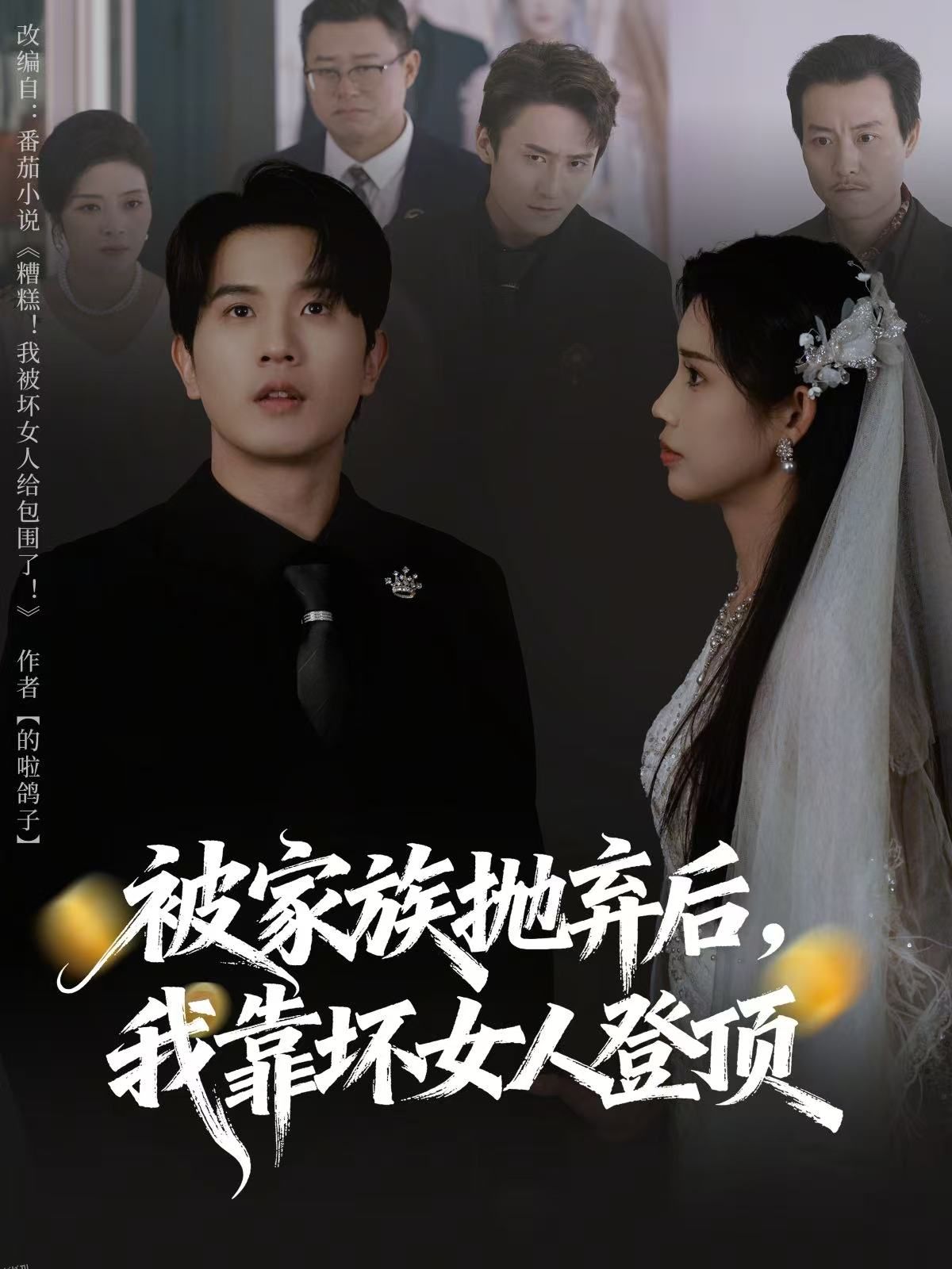 被家族抛弃后，我靠坏女人登顶 海报