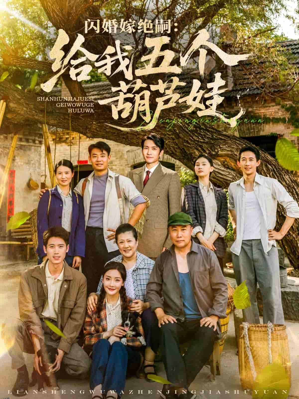 闪婚嫁绝嗣给我五个葫芦娃 海报