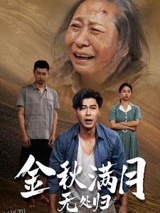 金秋满月无处归 海报