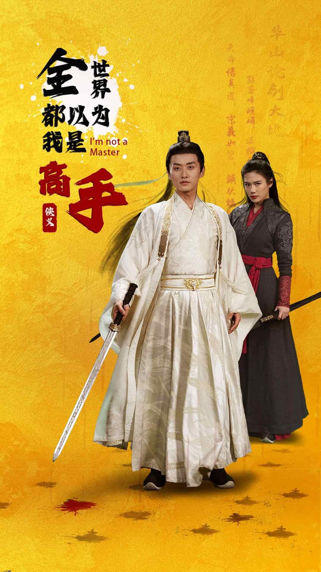 全世界都以为我是高手 海报