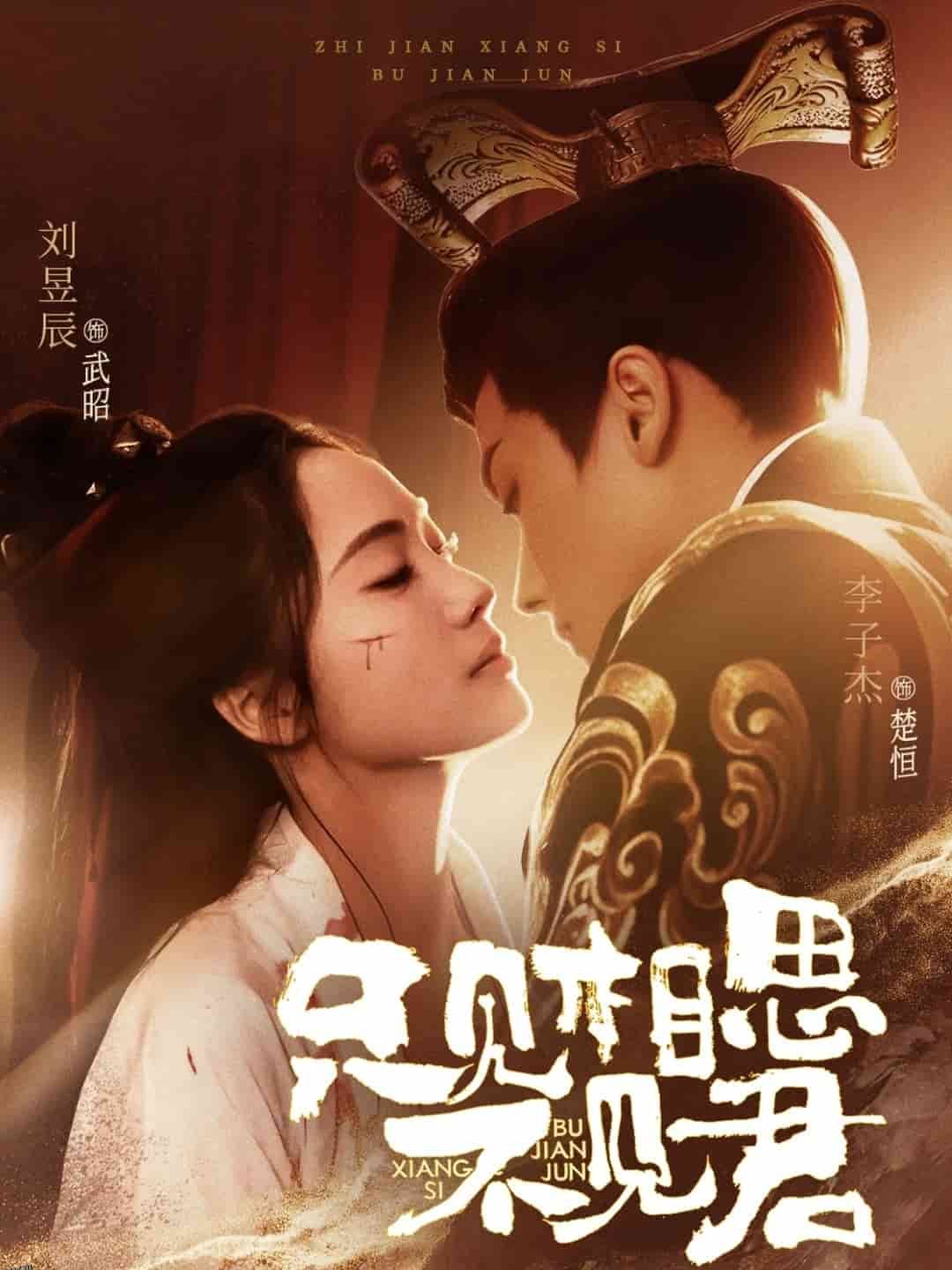 只见相思不见君 海报