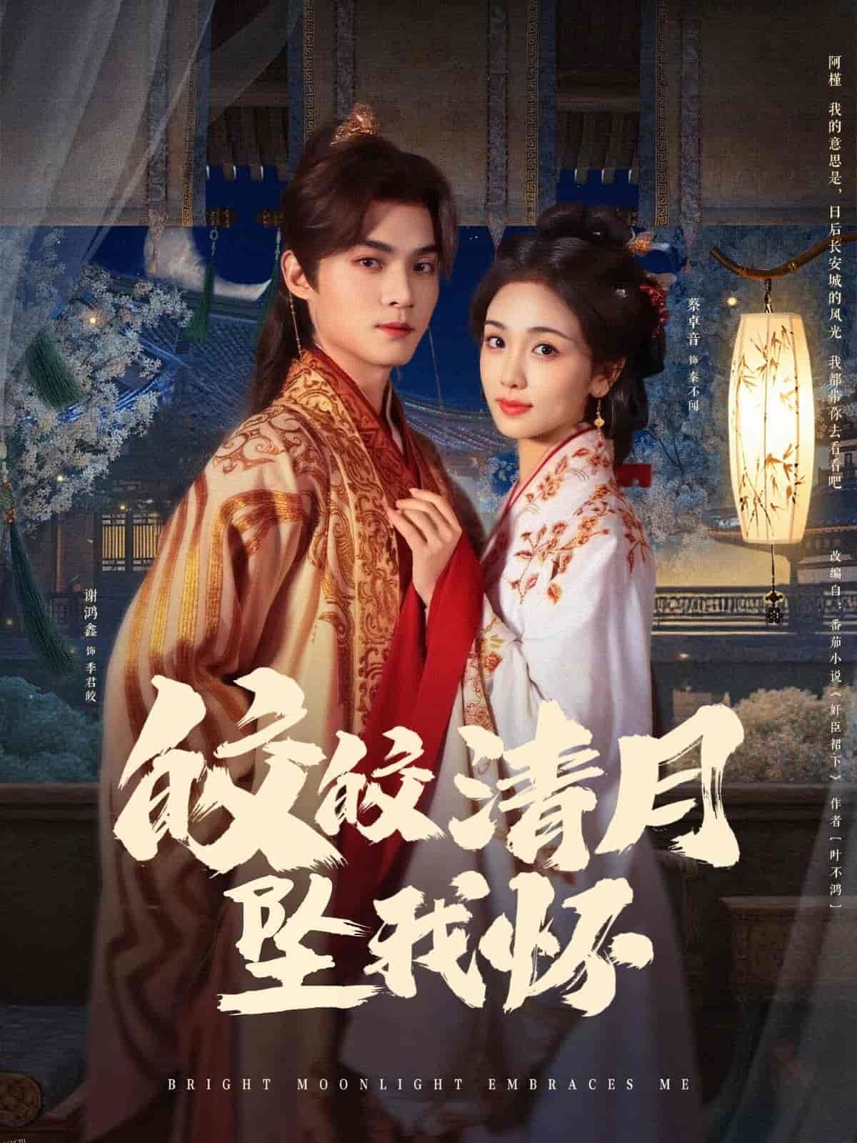 皎皎清月坠我怀 海报