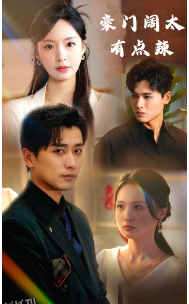 豪门阔太有点辣 海报