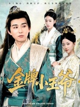 金牌小王爷 海报