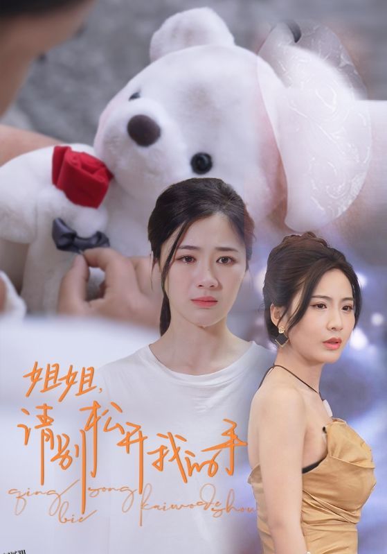 姐姐，请别松开我的手 海报