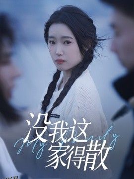 没我这家得散 海报