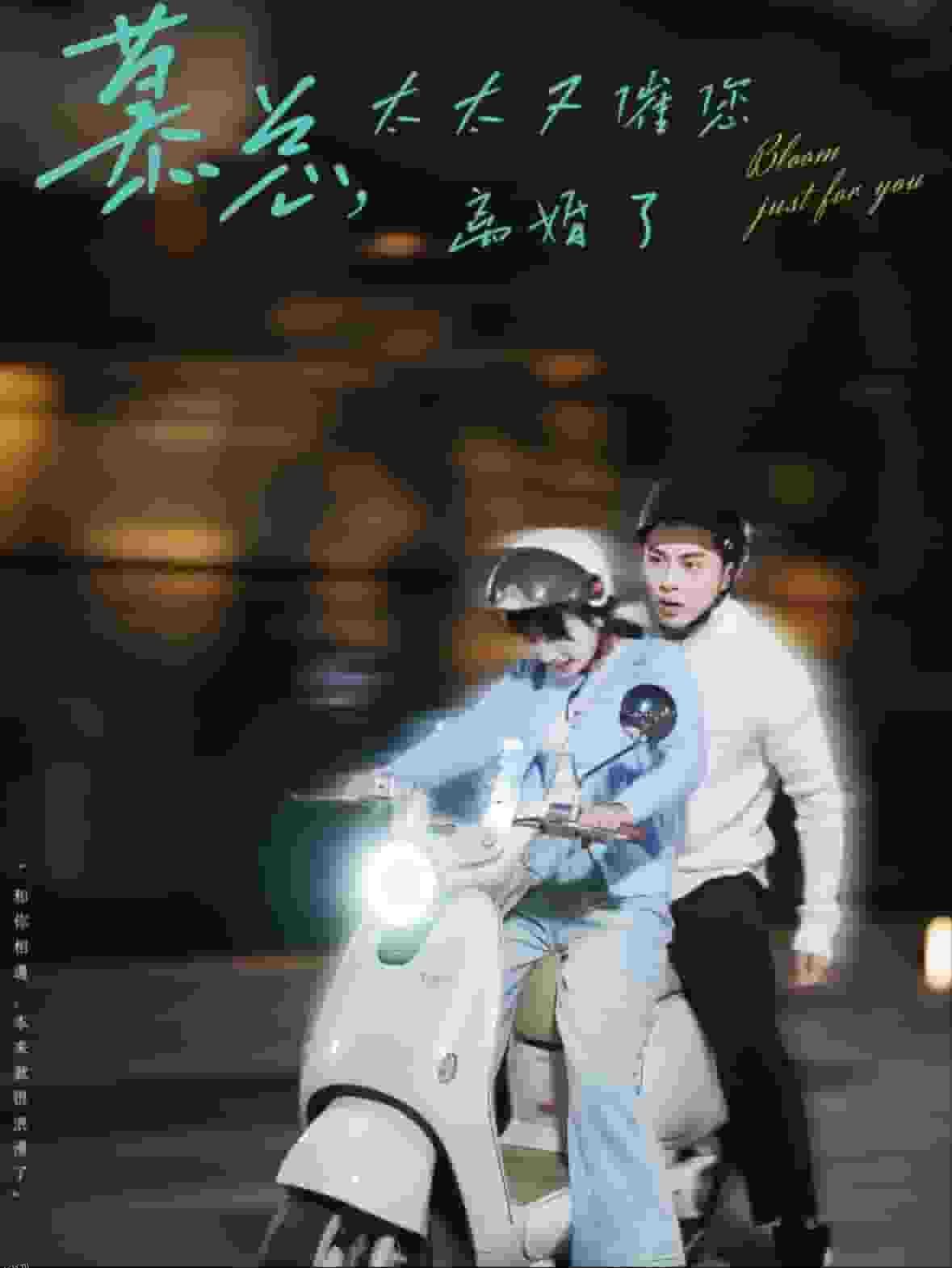 慕总太太又催您离婚了 海报