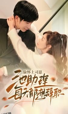 偷怀上司崽池助理每天都想辞职 海报