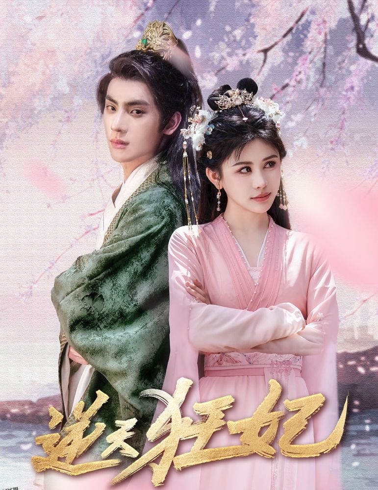 闪亮的张二狗 海报