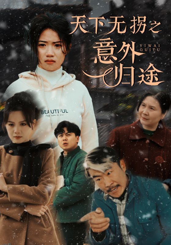 天下无拐之意外归途 海报