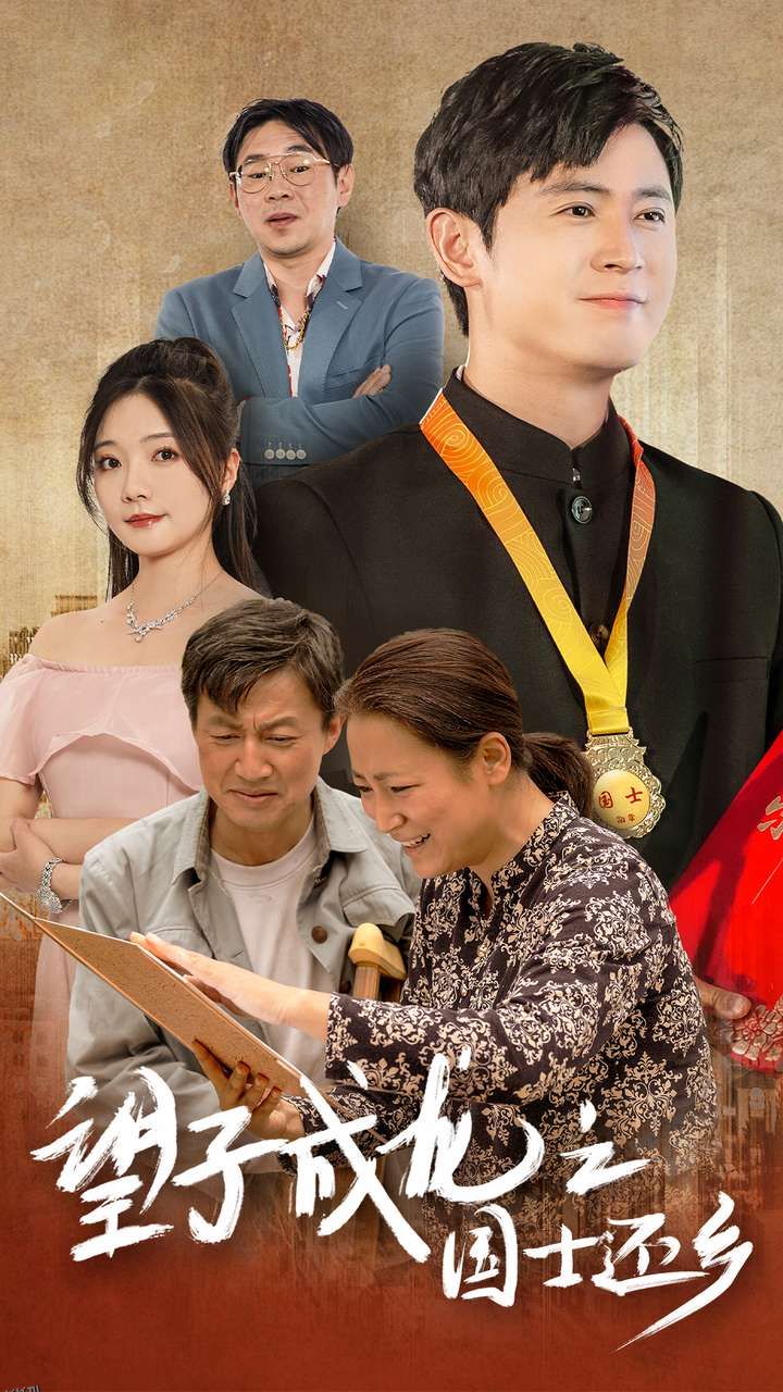 望子成龙之国士还乡 海报