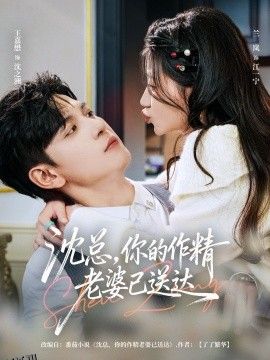 沈总，你的作精老婆已送达 海报