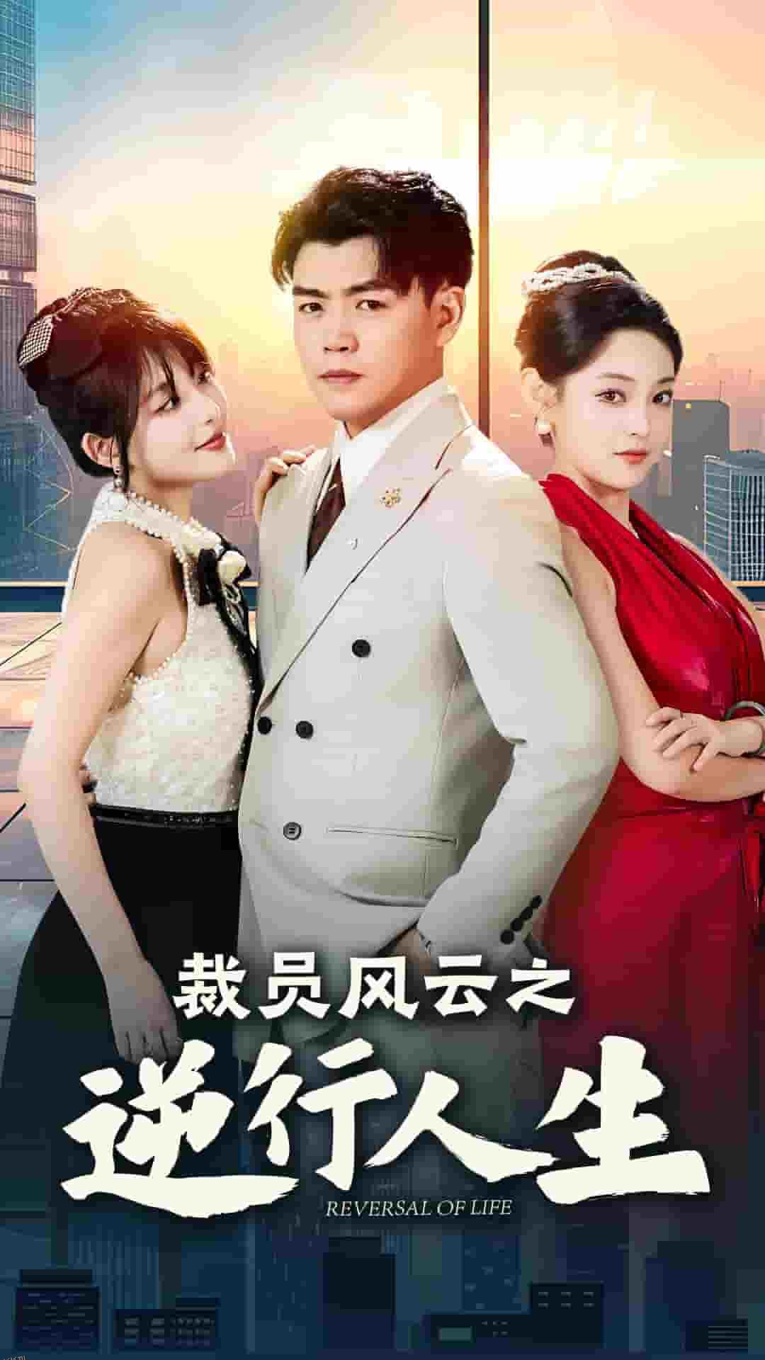 裁员风云之逆行人生 高清海报