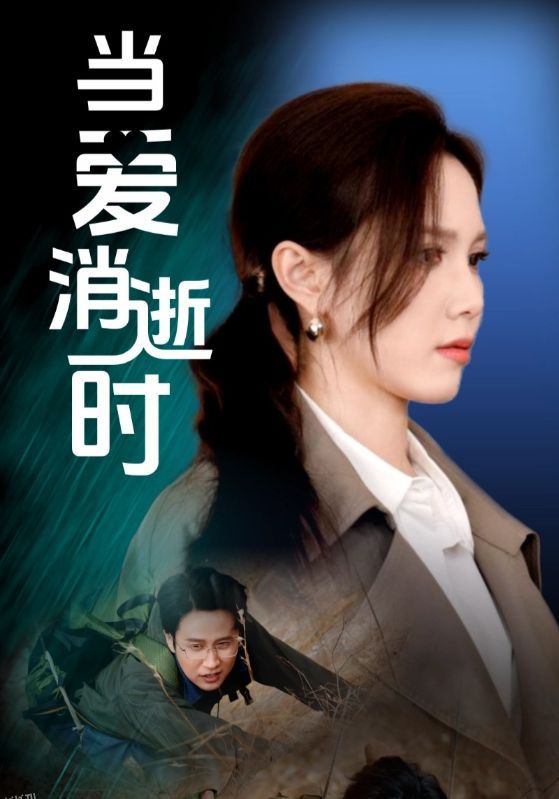 当爱消逝时 海报