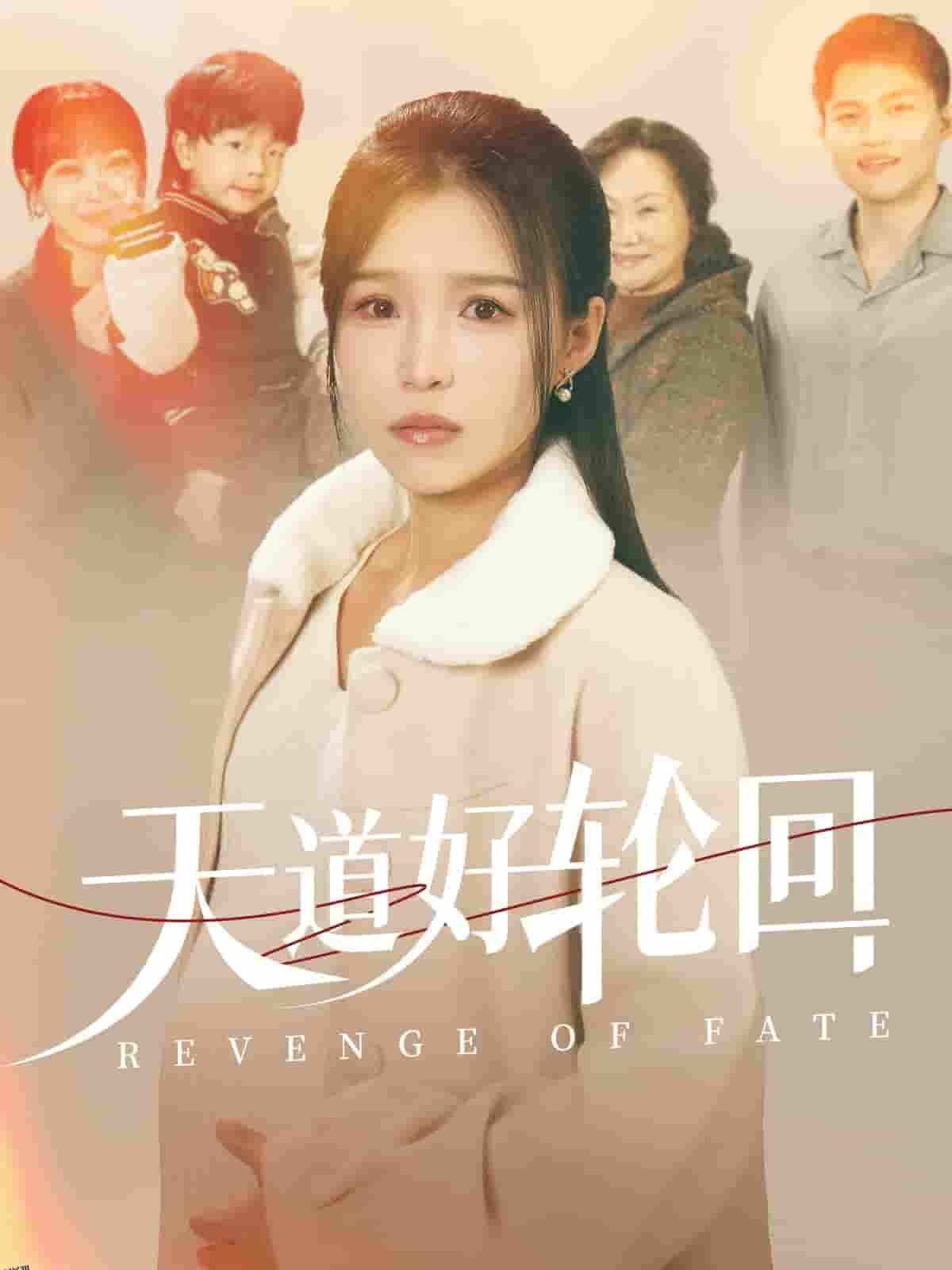 天道好轮回 海报