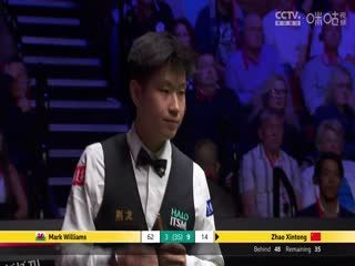 24-25赛季斯诺克世锦赛决赛 赵心童11-6马克·威廉姆斯（第二阶段） 20250505 海报