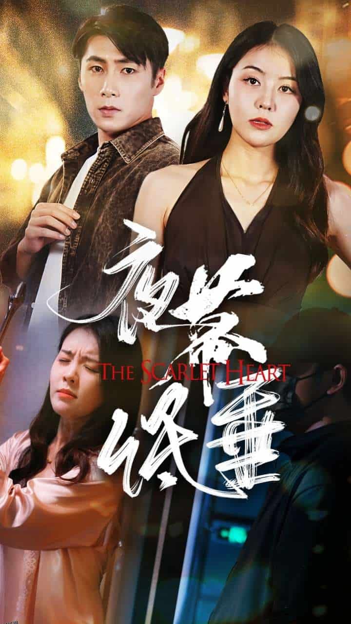 夜幕低垂 短剧版 海报