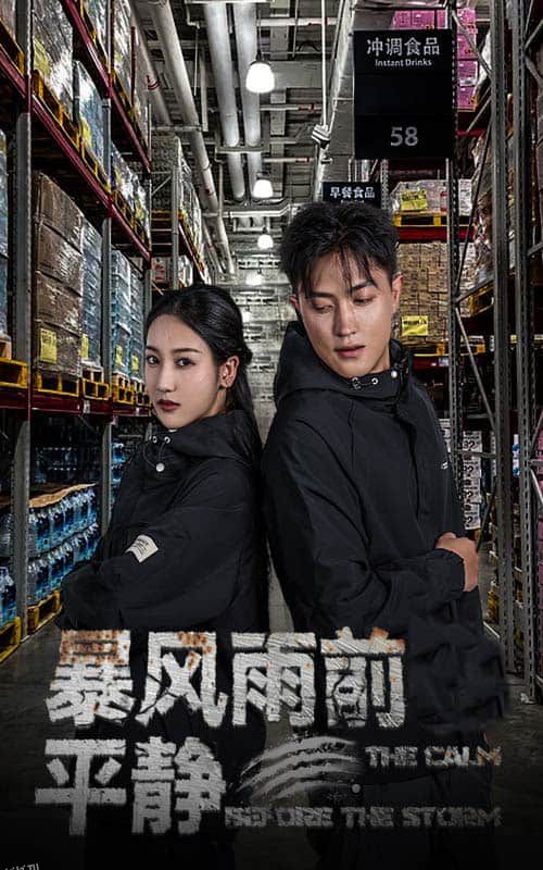 暴风雨前的平静 海报