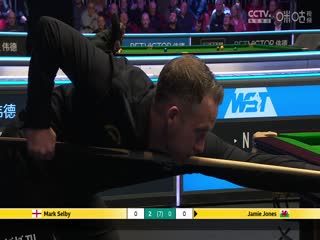 斯诺克威尔士公开赛16进8 马克·塞尔比4-0杰米·琼斯  20250214 海报