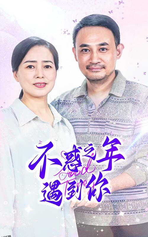 不惑之年遇到你 海报