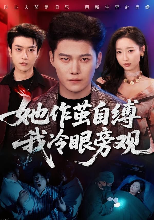 她作茧自缚我冷眼旁观 海报