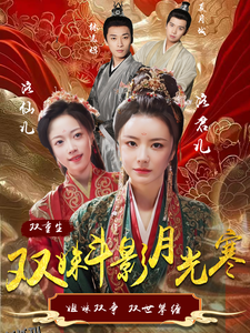 双姝斗影月光寒 海报