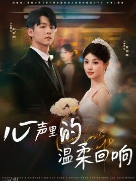 心声里的温柔回响 海报