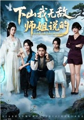 下山我无敌师姐说的 海报