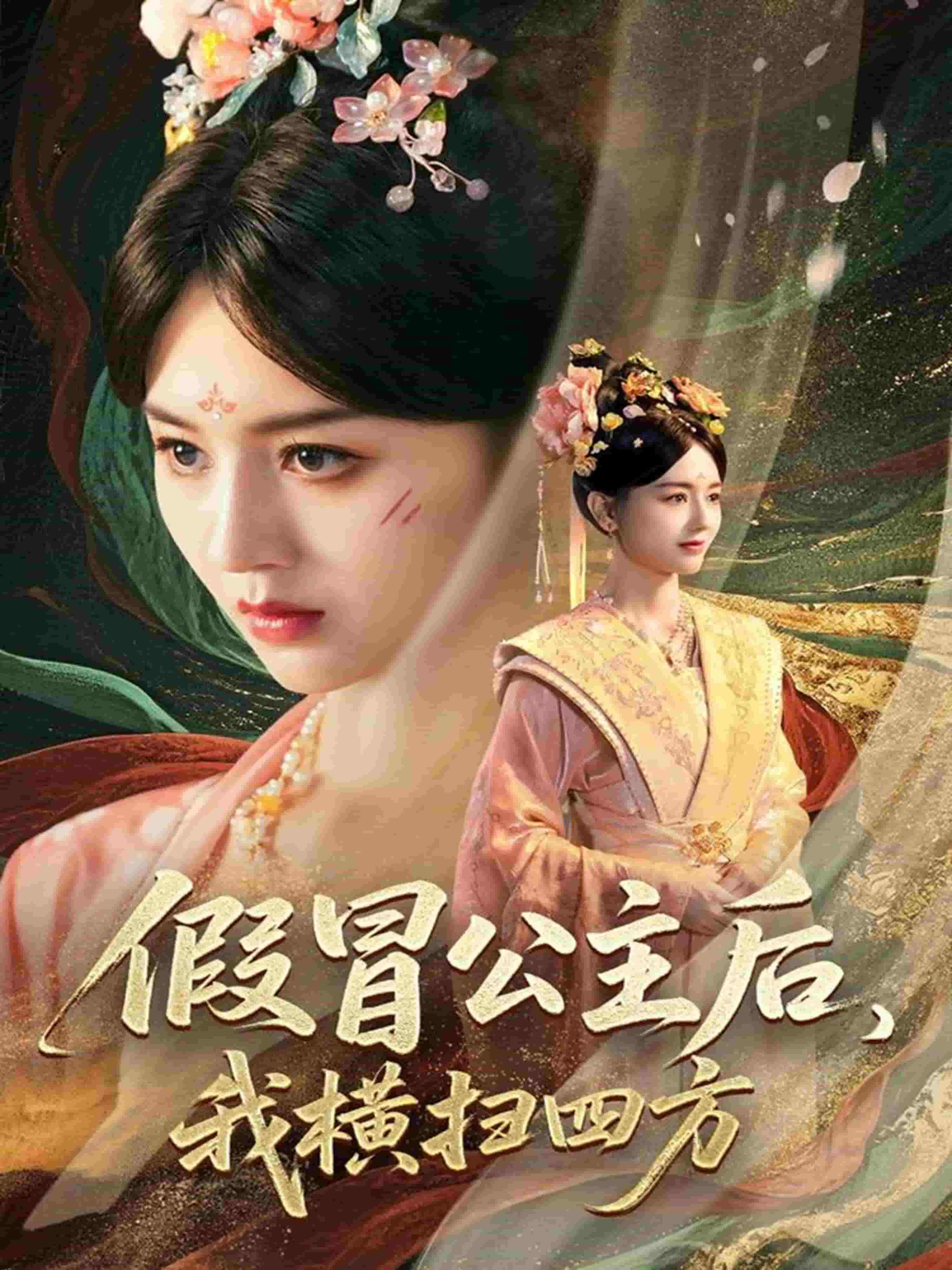 假冒公主后我横扫四方 海报