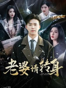 老婆请转身 海报