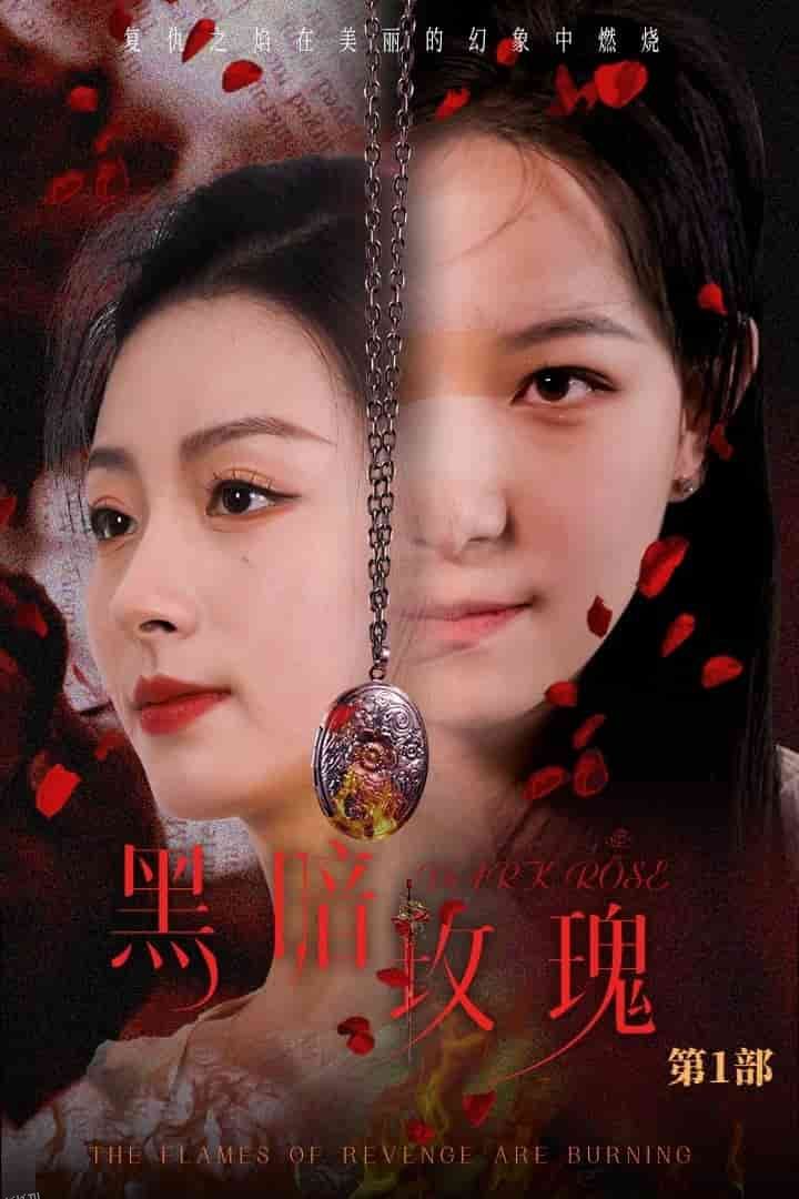 黑暗玫瑰 海报