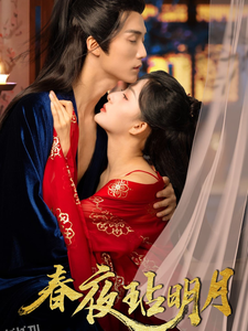 春夜玷明月 海报